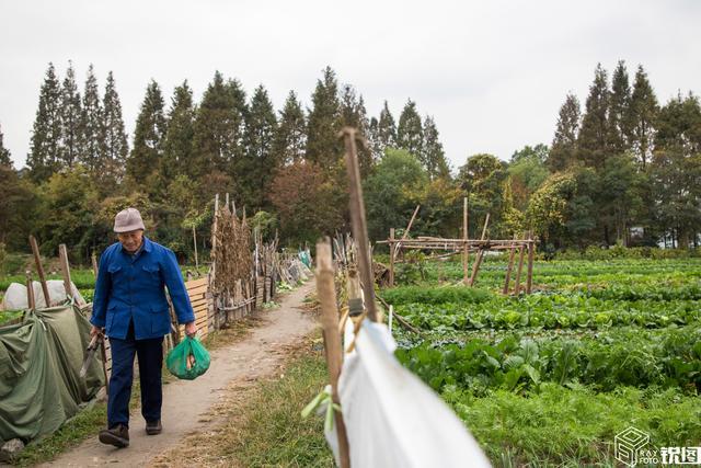 杭州原来也有露天菜市场 看到这些画面好像回到20年前