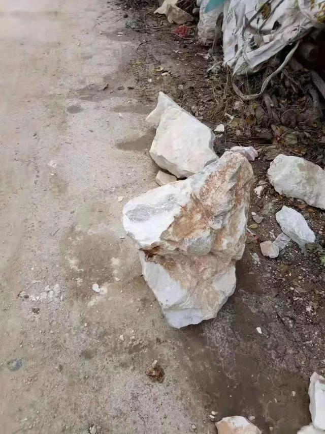 南阳市南召县黑恶势力被举报后更加猖獗，强拆村庄安全岗