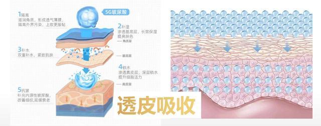 ACC全国大型实战创业大赛闭幕式在广州工商学院举行