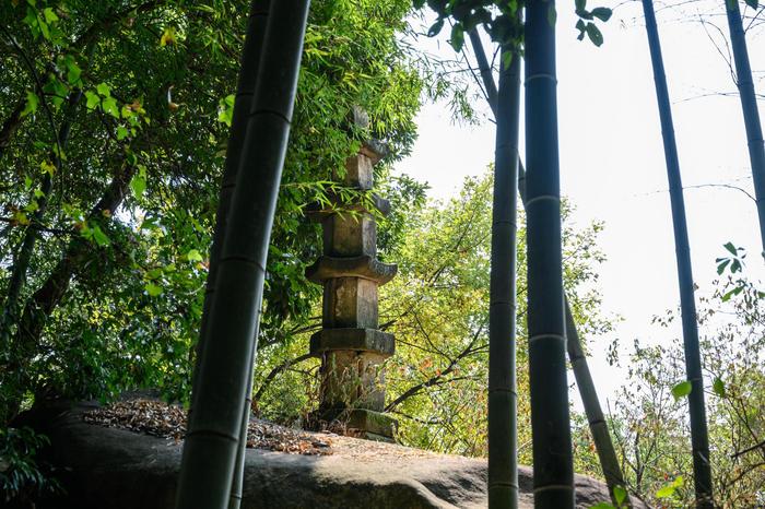 唐代古刹西风禅寺，“以风命名”的寺庙，坐落于安徽太湖莲花湖畔