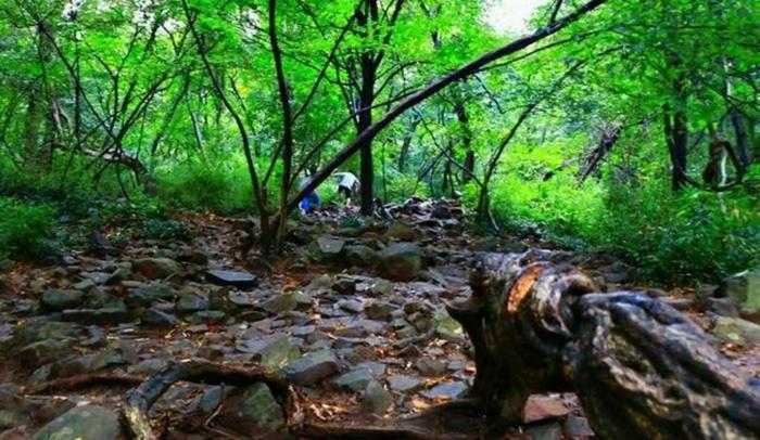 合肥有座山，名曰大蜀山。