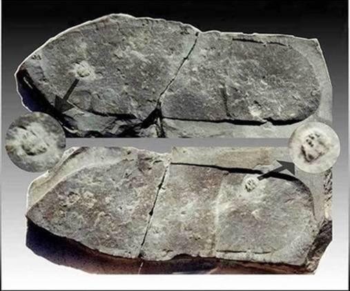 5千年前的木乃伊中发现人工心脏，难道地球真的存在史前文明？