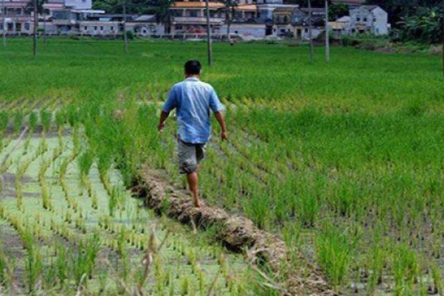 不是有农业户口的人就有土地，那些没地的农民还能申请土地吗？