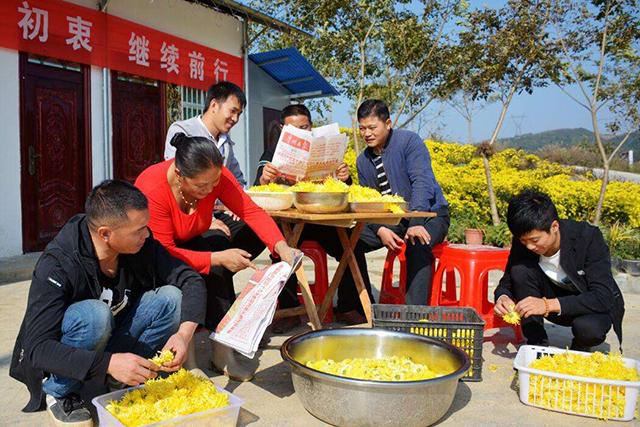 不是有农业户口的人就有土地，那些没地的农民还能申请土地吗？