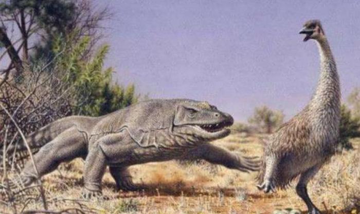 恐龙灭绝之后，这三种动物曾统治世界，其中一个还与人类见过面​