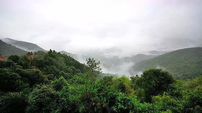 安徽的丫山与江西的丫山究竟有何不同呢？赏花往安徽，观瀑去江西