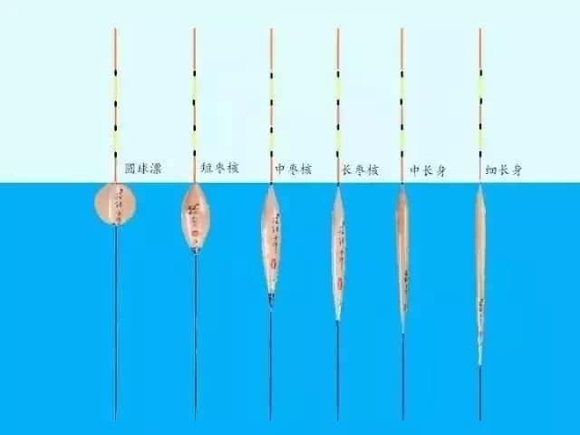 常见漂型小解析，钓鱼必修