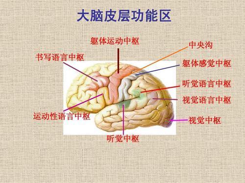 “头圆”的人，投资就能成功？听听诺贝尔得主怎么说