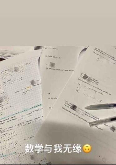 年烧80万瑞士留学，王菲爱女数学考试交白卷！