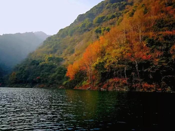 岳西这一美地带你领略“日照香炉生紫烟”的神奇