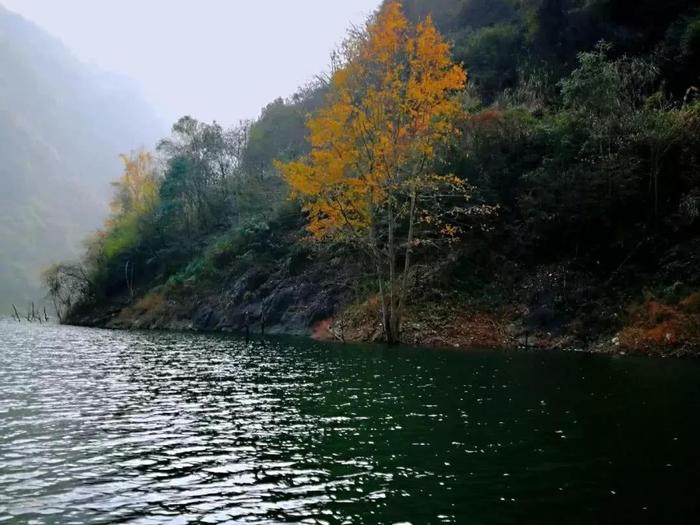 岳西这一美地带你领略“日照香炉生紫烟”的神奇