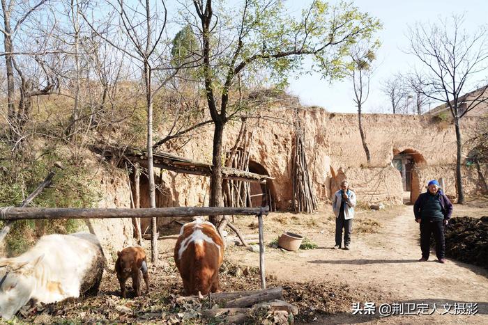 山西农村7旬老人，家有“保温箱”储存蔬菜不用电，看看啥样