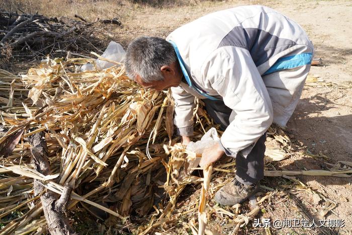 山西农村7旬老人，家有“保温箱”储存蔬菜不用电，看看啥样