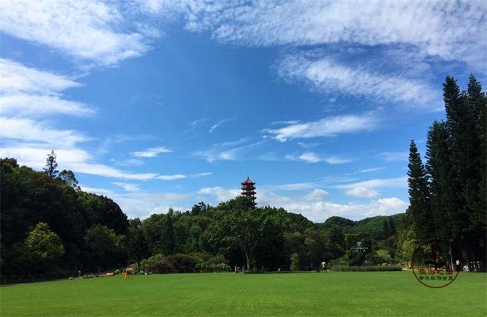 深圳香火最旺的寺庙，背靠梧桐山的弘法寺，是岭南最大的寺庙