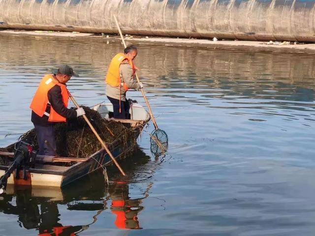 白河，河水清澈碧绿，犹如温柔的臂弯南阳人的幸福河