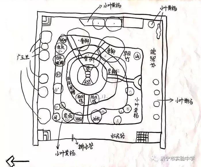 高中语文新教材怎么学？我们选择改造校园！