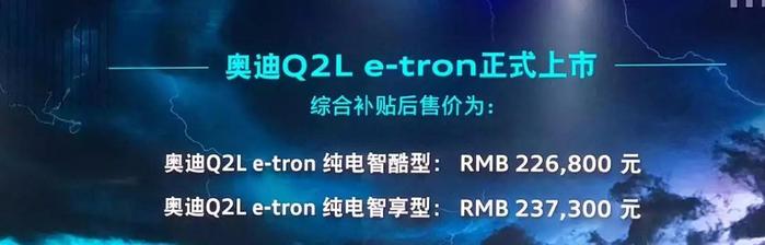 奥迪纯电时代的开端 奥迪Q2L e-tron/e-tron上市