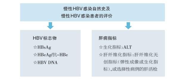 细分乙肝自然史，抗病毒方向，耐药发生率已有改善