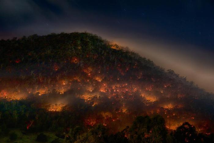 全球变暖警钟敲响！澳洲火灾烧掉四个上海，生态环境或受严重影响