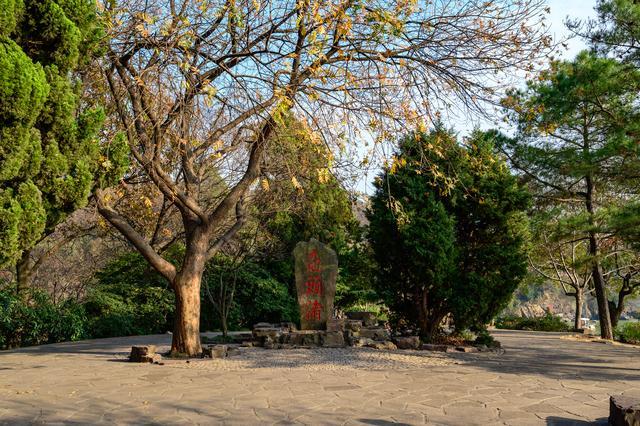 无锡广福寺，南朝四百八十寺之一，就隐藏在鼋头渚山林之中