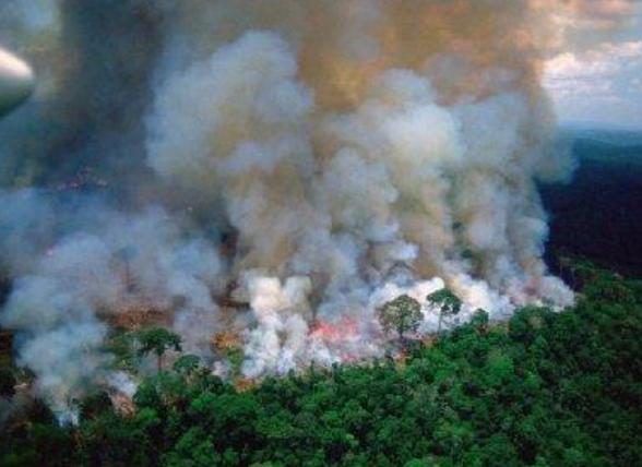 亚马逊雨林火灾烧了近20天，担心：会不会把地球氧气烧光？