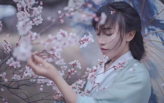 娶妻当娶李子柒，这个中国最美村姑，美哭千万外国人