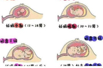 胎盘等级和孕周:怀孕33周做b超却显示36周,胎宝会提前出生吗?