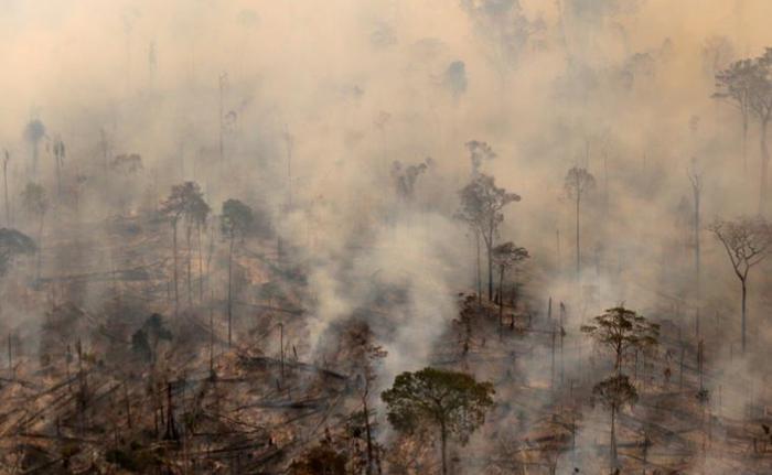 亚马逊雨林火灾烧了近20天，担心：会不会把地球氧气烧光？