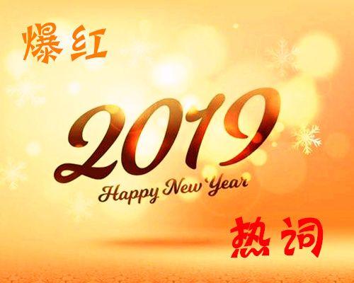 2019年爆红了3位艺人，还炒红了一个“热词”，这些你都知道吗？