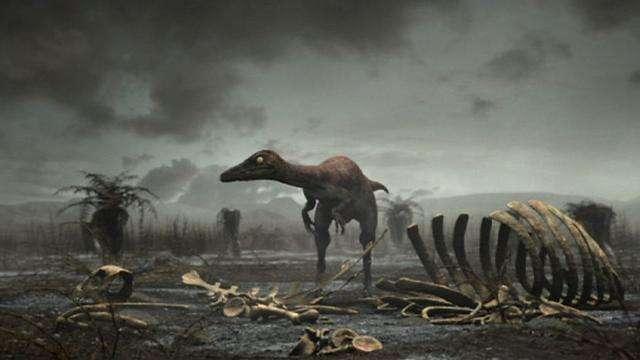 6500万年前恐龙灭绝是希克苏鲁伯陨石坑吗？可能另有其主！