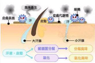 黄金微针除腋臭|告别尴尬和自卑，从此清爽自在