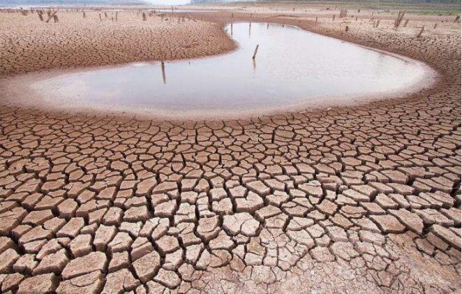 这么严重的干旱你见过吗？非洲上百动物寻找水源，结果却触目惊心