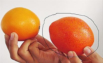 买橙子个头越大越好吗？记住4个小技巧，挑出的橙子个个都甜