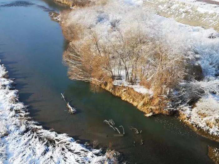 伊犁河的冬 每一个定格都是一幅山水画