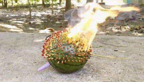 农村男子用火柴插满西瓜做实验，“烈焰西瓜”究竟是否能吃？