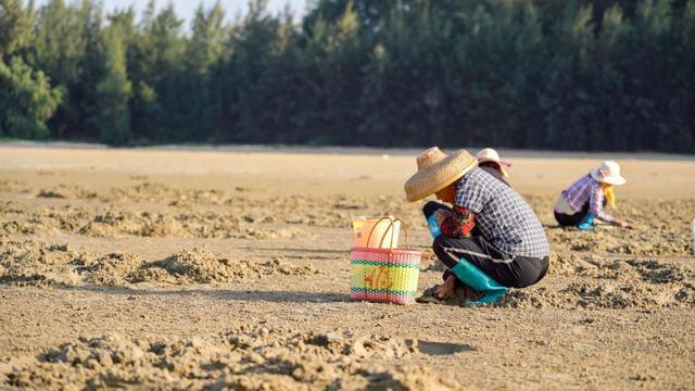 赶海习俗保留完整，海南的世外桃源，地方让苏轼留恋！