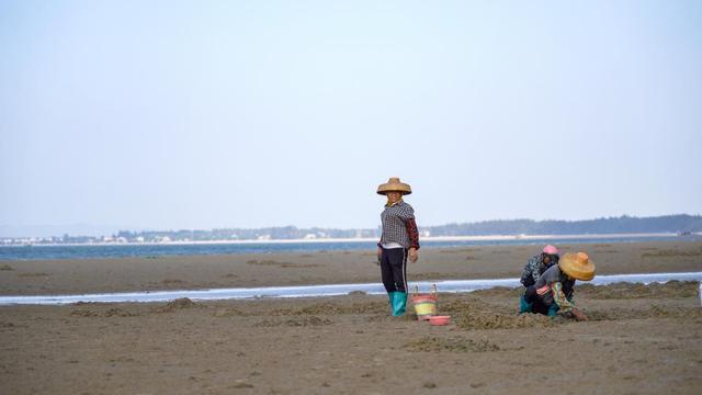 赶海习俗保留完整，海南的世外桃源，地方让苏轼留恋！