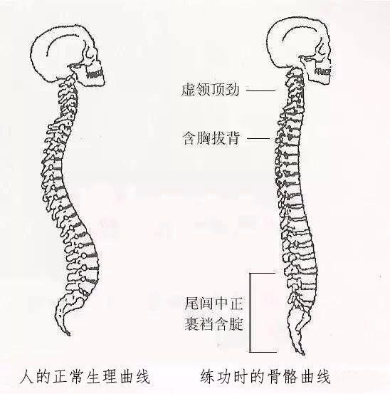 练太极拳脊椎没感觉，原来是因为犯了这个错误！