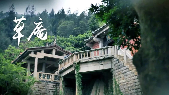 晋江最古老的树木