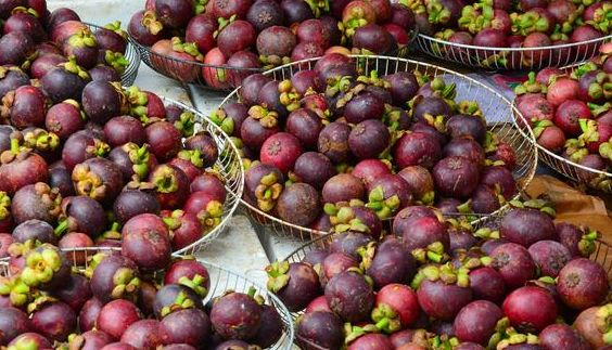 普洱95部长联系方式揭秘，普洱茶风云动态大起底