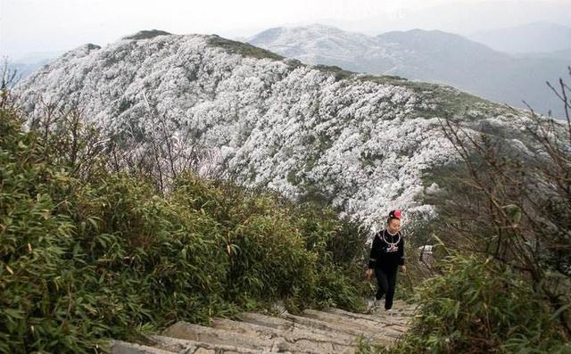 贵州十大名山：梵净山排名第一，你知道几座？