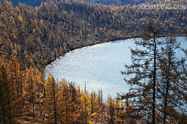 ​两个电影不简单，《英雄》带火了额济纳，《夜宴》带火了阿尔山