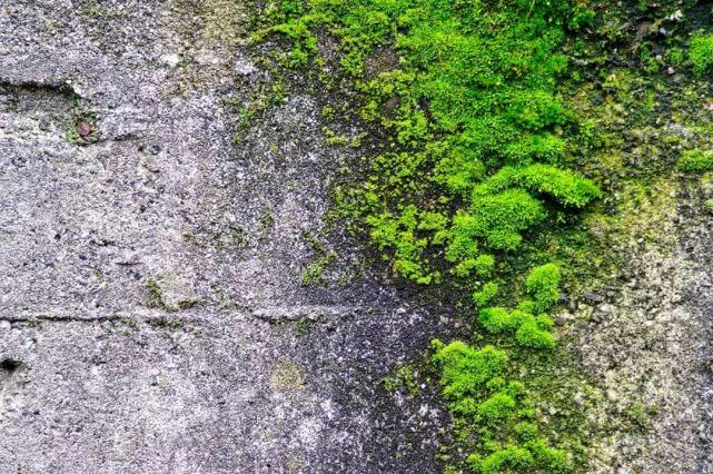 如同一场大雨过后，空空荡荡的天空没有一朵云彩