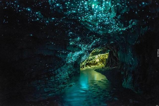 新西兰一个逆天的萤火虫洞，美爆，像璀璨的星空