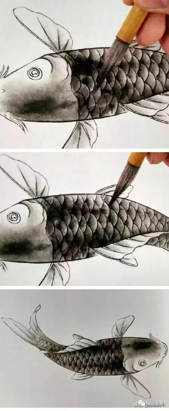 鲤鱼的工笔渲染技法