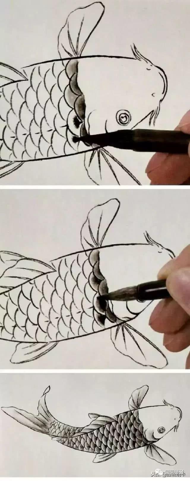 鲤鱼的工笔渲染技法