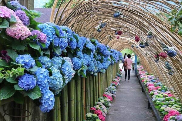 台湾有三个地方，每个地方都散发着不同风情，号称九寨沟、小瑞士