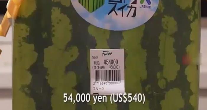 日本天价的方形大西瓜，一个3000元，切开后笑翻了中国人！