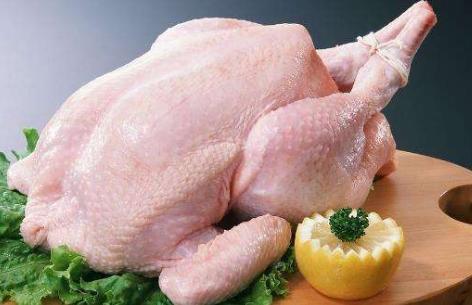40天出栏的速成鸡，到底能不能吃？