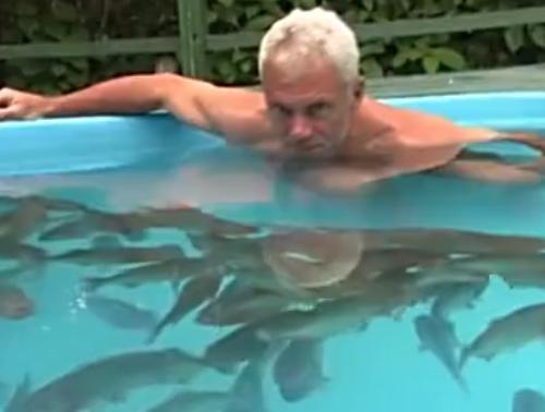 男子跃身跳进食人鱼池，就是为了证明食人鱼不攻击人